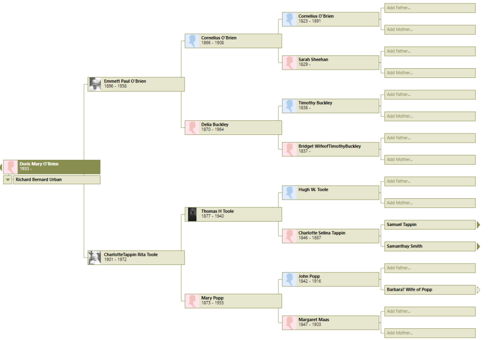 Doris O'Brien Ancestor Tree